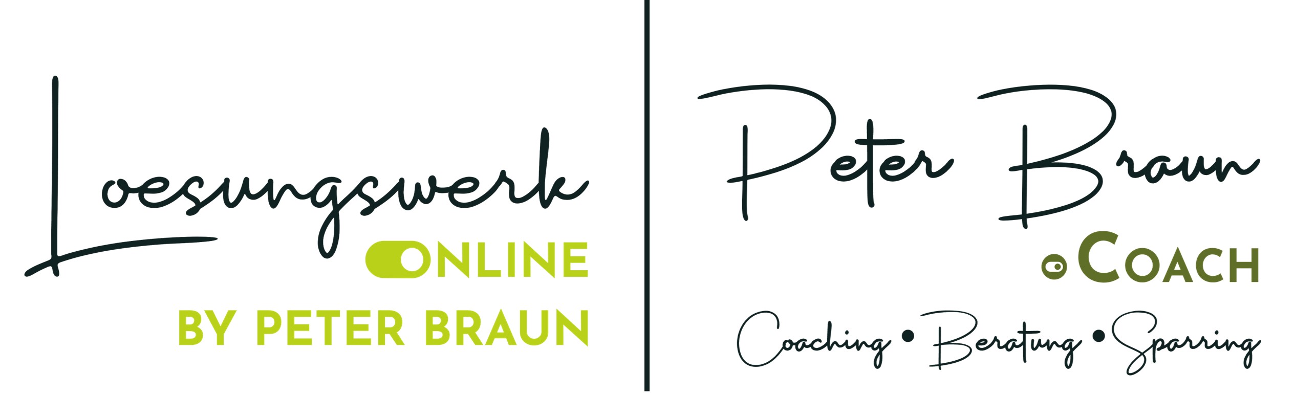 Peter Braun Logo