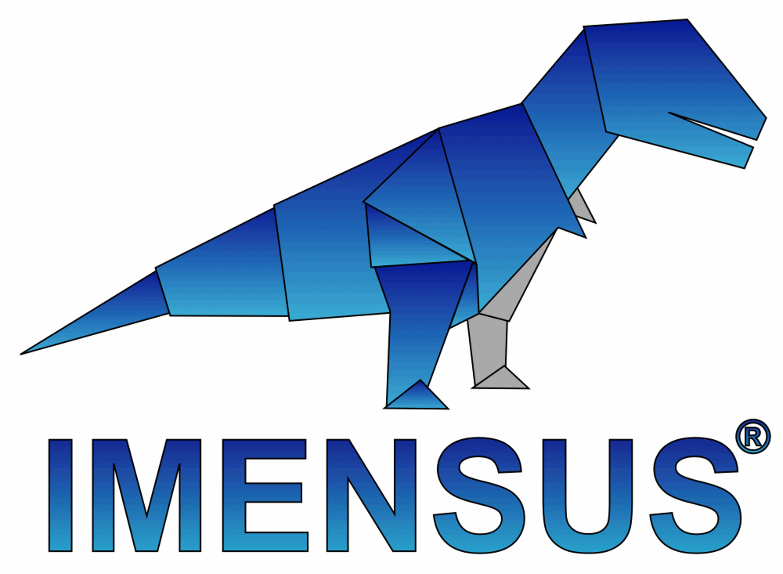 Imensus UG Logo